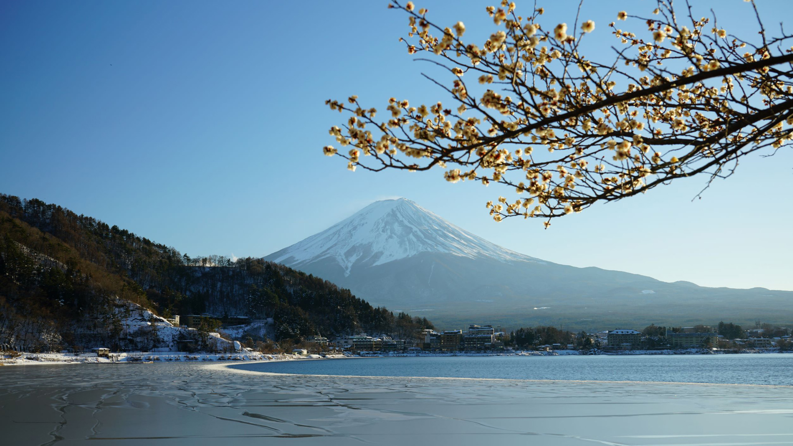 自然风光图片_樱花壁纸下载_富士山高清壁纸图片