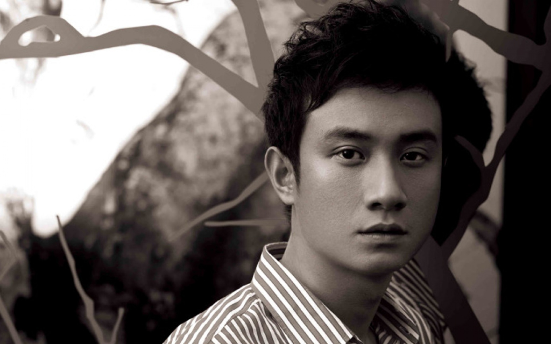 文章seo编辑技巧